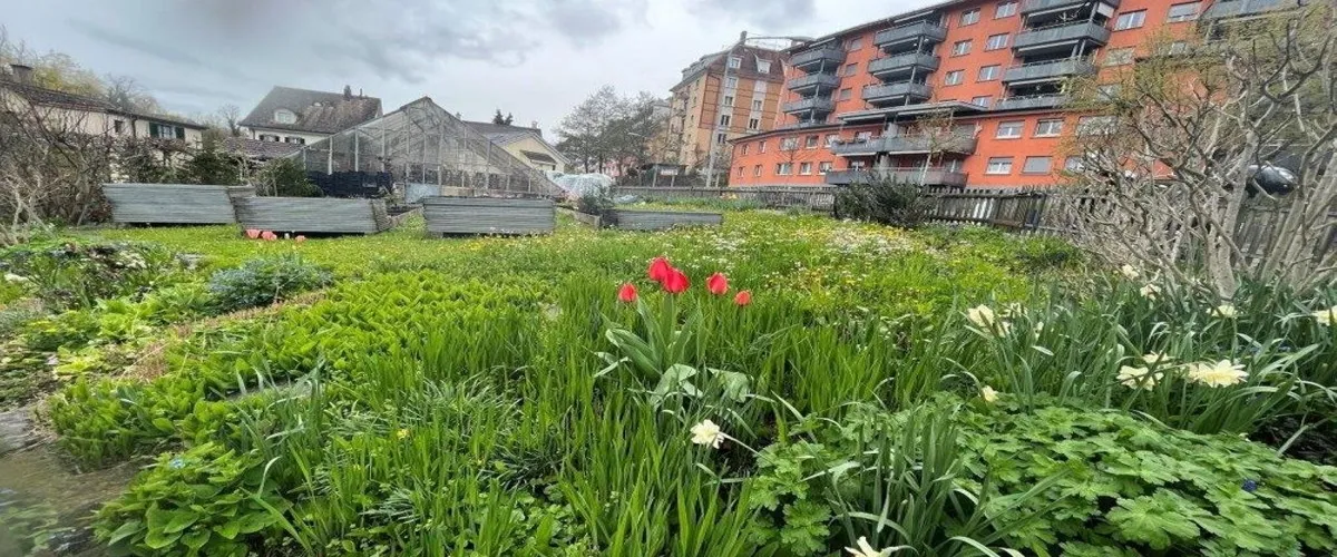 Foto 2 Botanical Garden