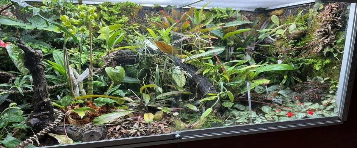 Foto 5 Botanical Garden