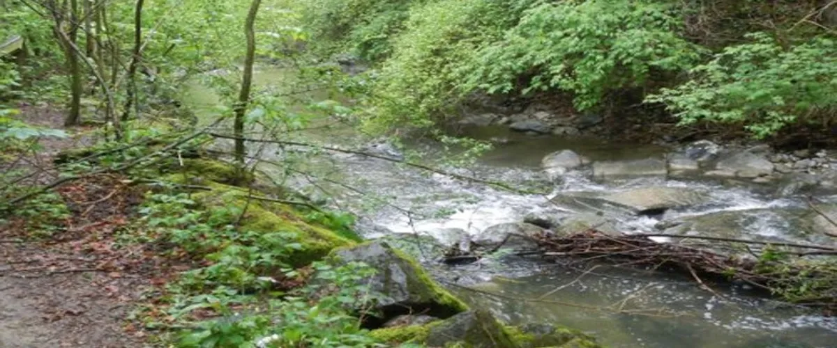 Foto 1 Chemin de la Vuachère