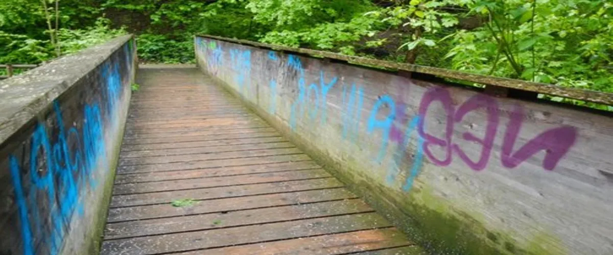 Foto 2 Chemin de la Vuachère