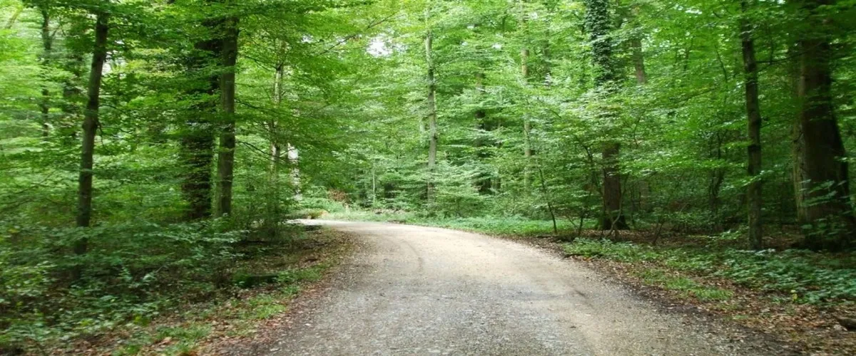 Foto 5 Seebad Katzensee