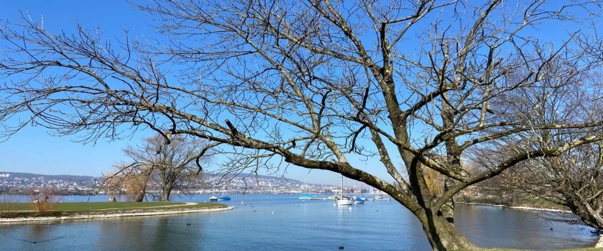 Foto 3 Strandbad Mythenquai