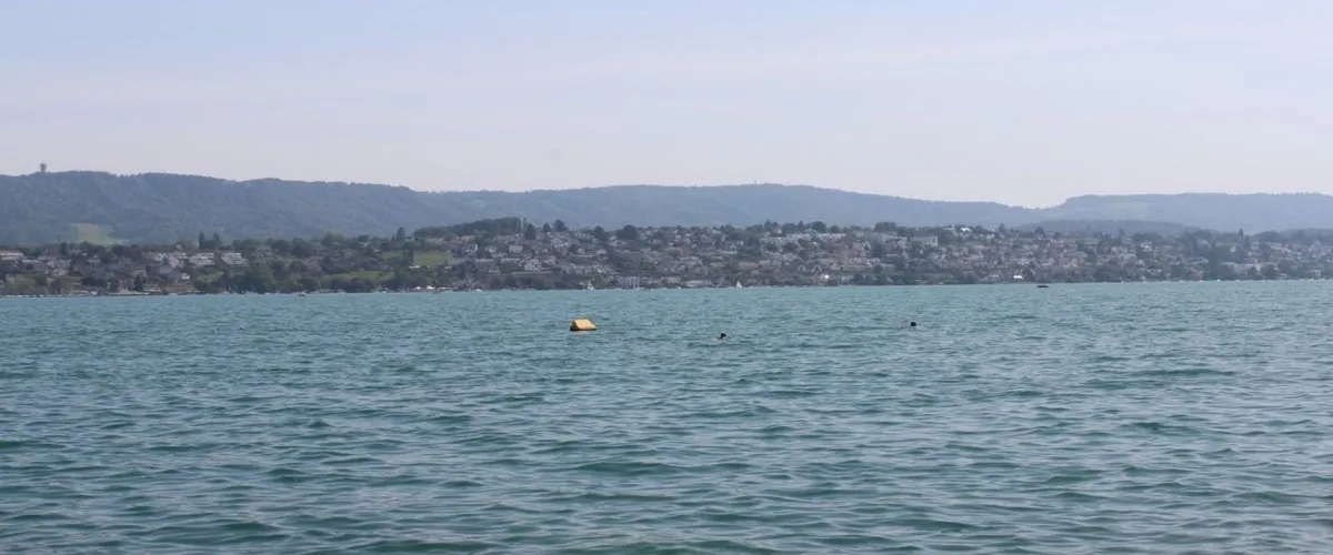 Foto 3 Strandbad Tiefenbrunnen