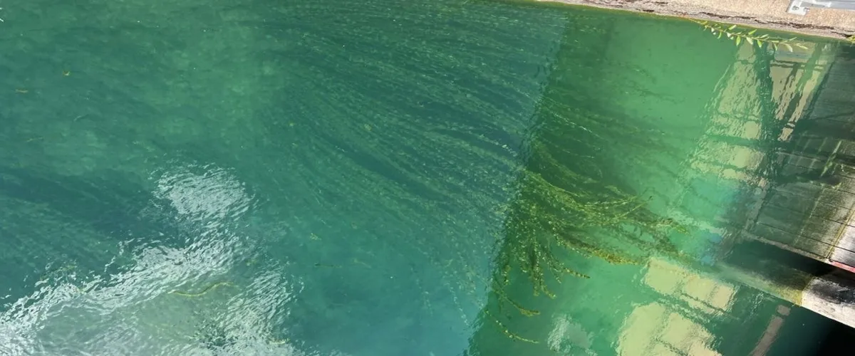 Foto 5 Werdinsel / Bad Au-Hongg