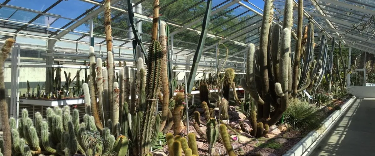 Foto 1 Zurich Succulent Plant Collection