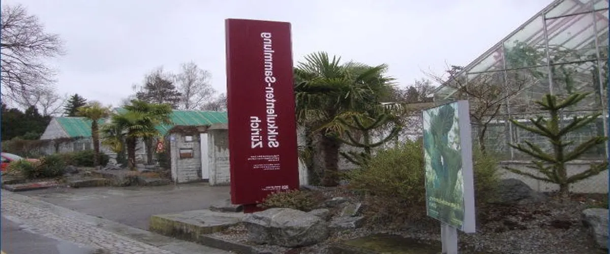 Foto 2 Zurich Succulent Plant Collection