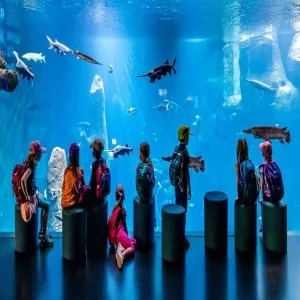 Foto de AQUATIS Aquarium-Vivarium Lausanne