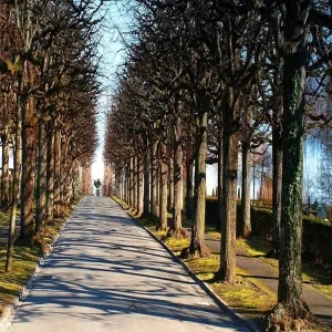 Foto de Cimetiere du Bois-de-Vaux