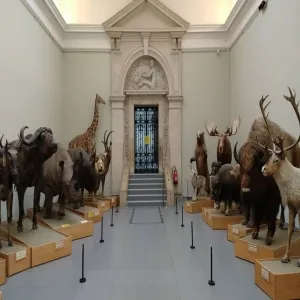 Foto de Museum of Zoology - Lausanne