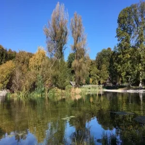 Foto de Sauvabelin Forest