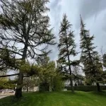 Foto 3 Botanical Garden