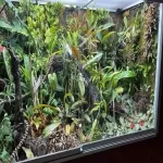 Foto 5 Botanical Garden