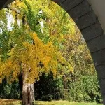 Foto 3 Parc de Mon Repos