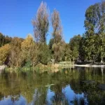 Foto 1 Sauvabelin Forest