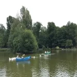 Foto 3 Sauvabelin Forest