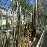 Foto 1 Zurich Succulent Plant Collection